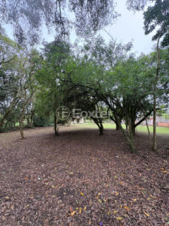 Image 3 - 1024265