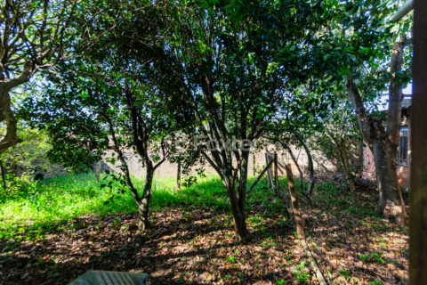 Image 7 - 1025520