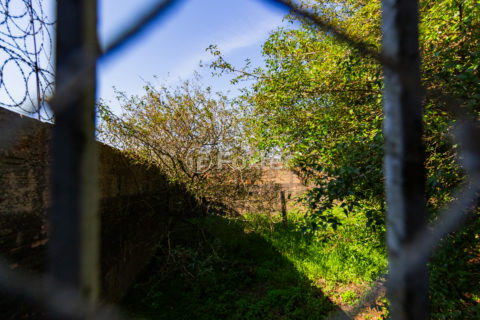 Image 31 - 1025520