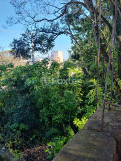 Image 45 - 1026103