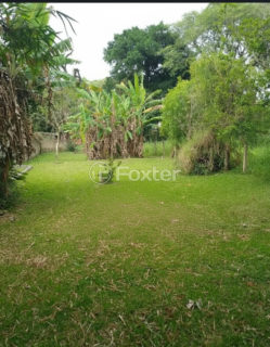 Image 4 - 1026294