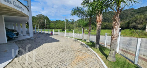 Image 96 - 1026434