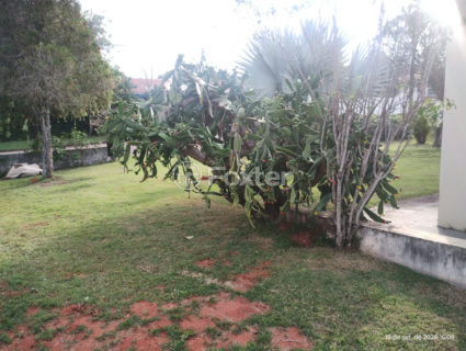 Image 33 - 1026972