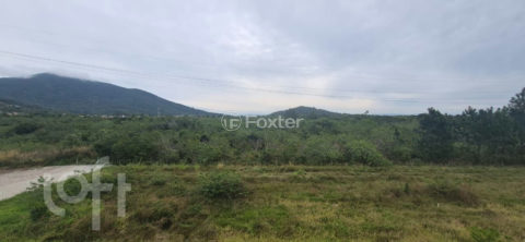 Image 7 - 1027068