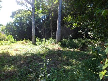 Image 4 - 102708