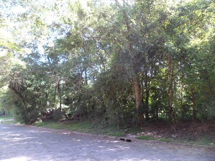 Image 5 - 102708