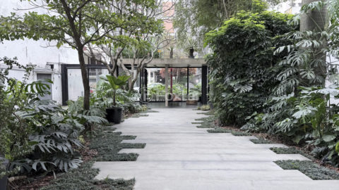 Image 36 - 1027257