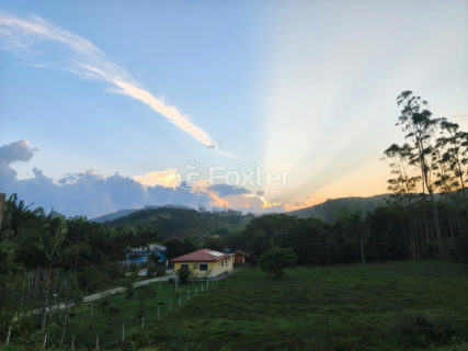 Image 55 - 1027335
