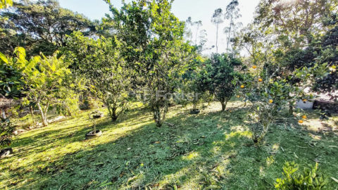 Image 38 - 1027335