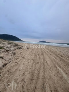 Image 15 - 1027538