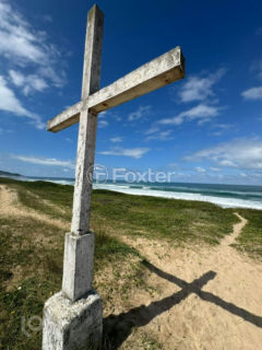 Image 13 - 1027538