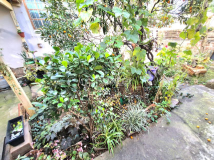 Image 35 - 1027721