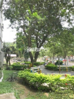 Image 34 - 1027993