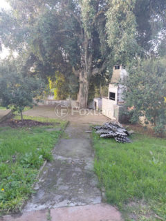 Image 3 - 1028183