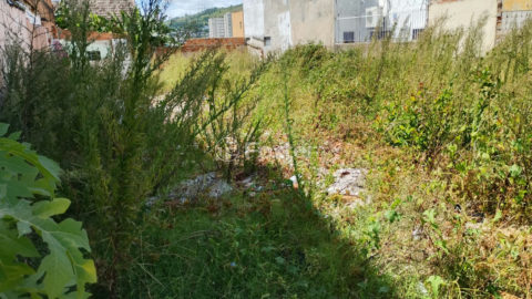Image 3 - 1028270