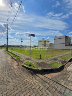Image 3 - 1028276