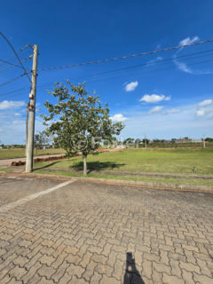 Image 2 - 1028287