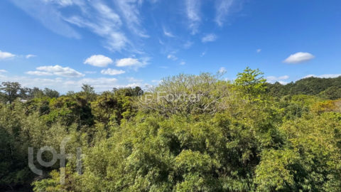 Image 7 - 1028385