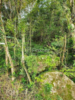 Image 40 - 1028500