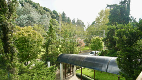 Image 11 - 1028660