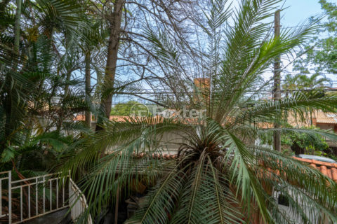 Image 24 - 1028794