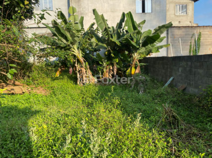 Image 24 - 1028811