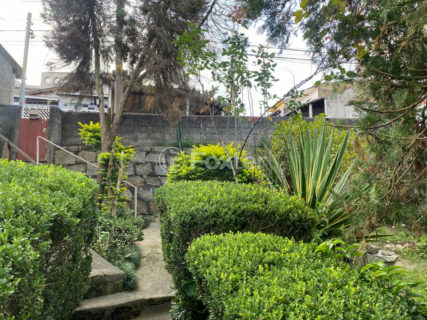 Image 13 - 1028811
