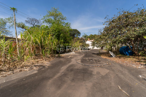 Image 8 - 1028831