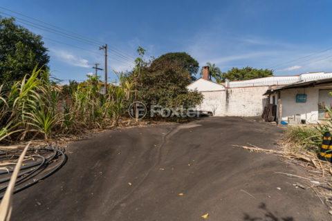 Image 7 - 1028831