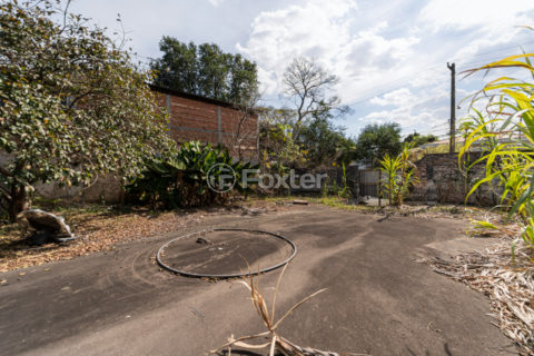 Image 4 - 1028831