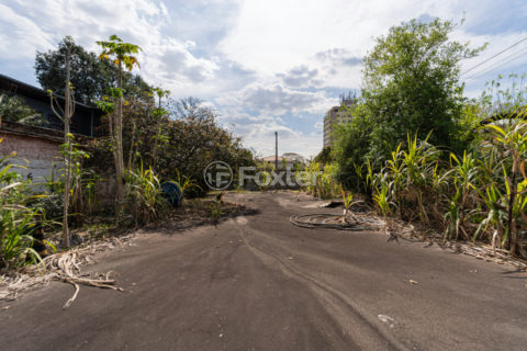 Image 2 - 1028831