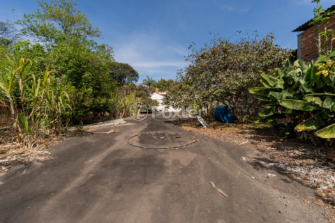 Image 6 - 1028831