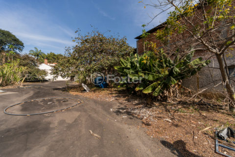 Image 9 - 1028831