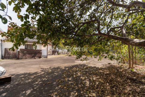 Image 12 - 1028831