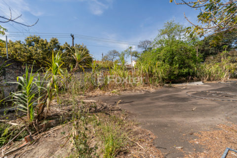 Image 11 - 1028831
