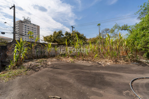 Image 5 - 1028831