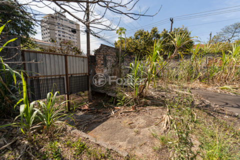 Image 15 - 1028831