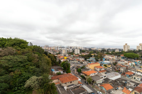 Image 29 - 1028833
