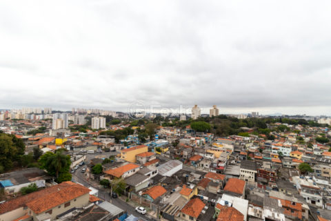 Image 13 - 1028833