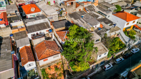 Image 6 - 1028865