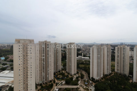 Image 61 - 1028894