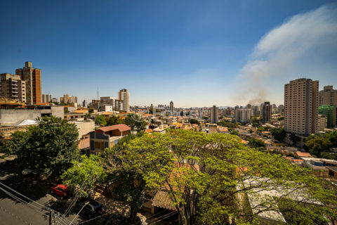 Image 86 - 1028938