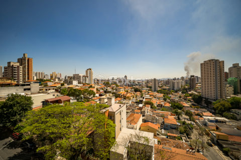 Image 73 - 1028938