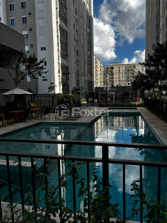 Image 41 - 1029019