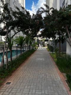 Image 38 - 1029019