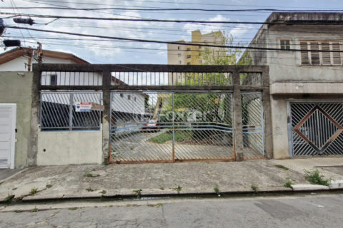 Image 31 - 1029060