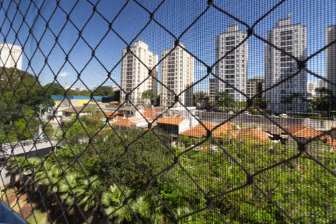 Image 20 - 1029062