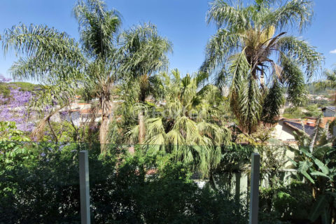 Image 35 - 1029111