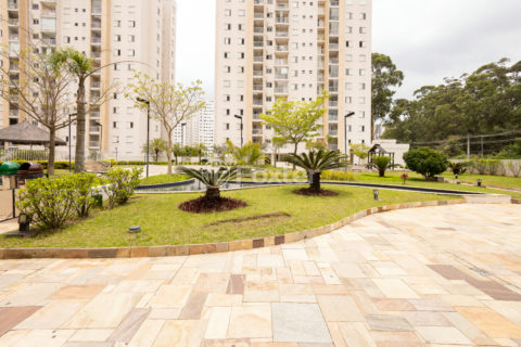 Image 37 - 1029186