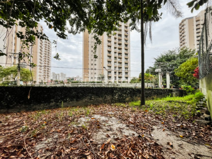 Image 36 - 1029202